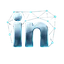 LinkedIn icon